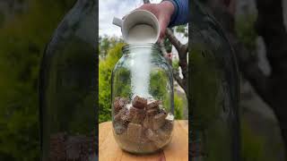 Homemade Kv Made From Bread