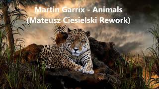 Martin Garrix - Animals (Mateusz Ciesielski Rework) Resimi