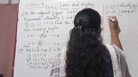 9th Maths  lines and angles exercise 4.3;Problem 16