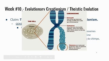 Evolutionary Creationism (aka. Theistic Evolution) - from the series "Was This God