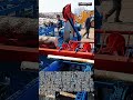 대형 통나무 자동 절단기 작업 과정 #craft #machine #woodworking #sawmill #logging