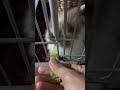 [ Vlog 04 ] Chubby 3rd day in my Apartment