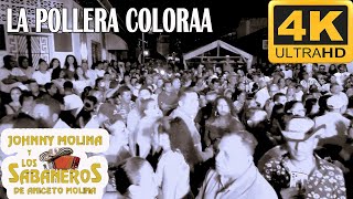 Johnny Molina y Los Sabaneros de Aniceto Molina - La Pollera Coloraa @Live El Sauce La Unión 2022