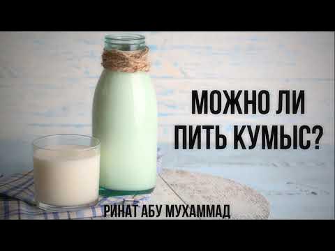 Можно ли пить кумыс