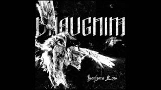 Draugnim - Bastion