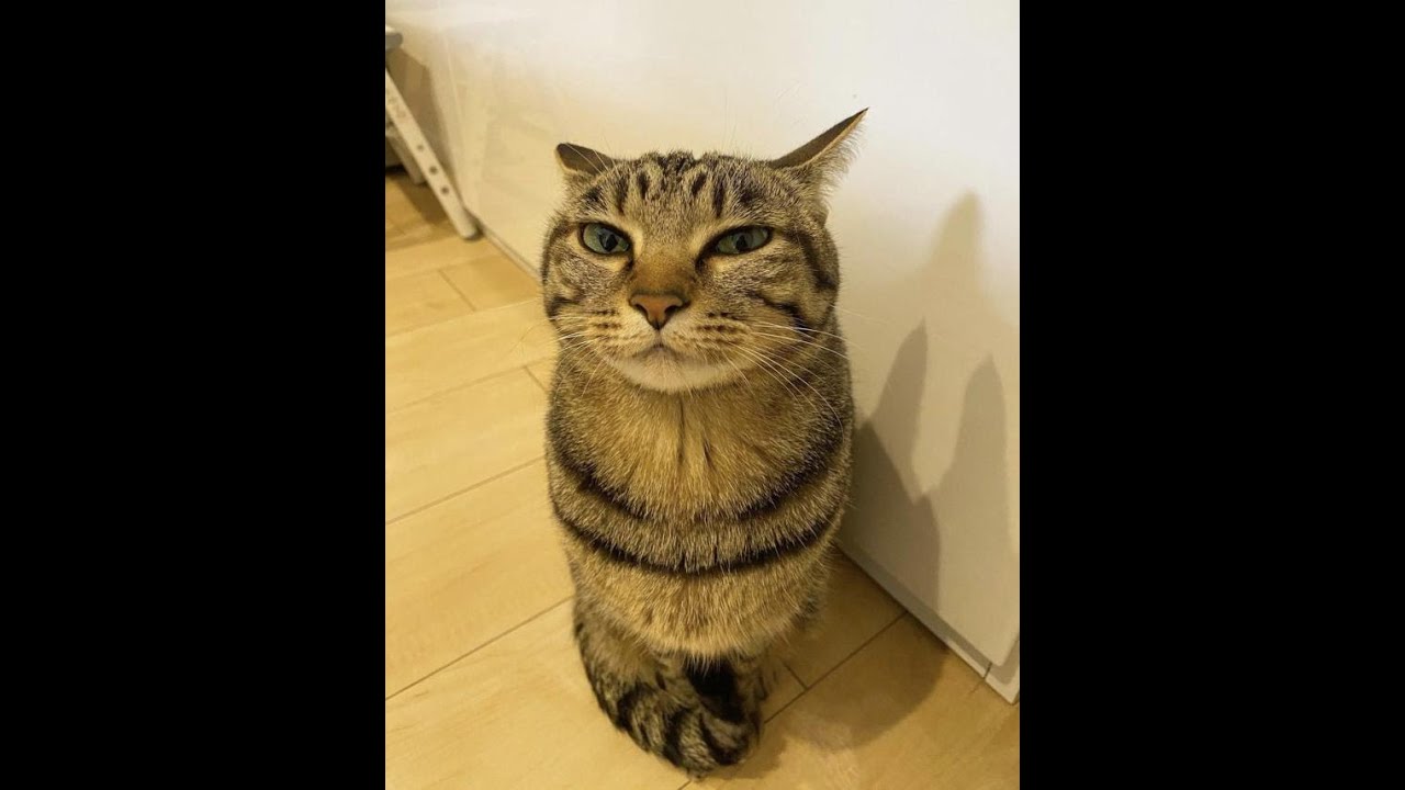 Fast beatmaking till i go sleep