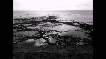 Violin Concerto in g minor, II. Largo