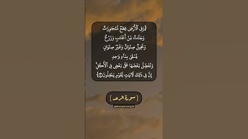 سورة الرعد الآية ٤ بصوت الشيخ محمد صديق المنشاوي