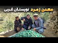 افغان سین سفر هادی صافی به معدن تازه کشف شده زمرد در نورستان غربی 