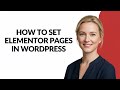 How to Set Elementor Pages In Wordpress - Julia'sTutorials