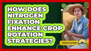 How Does Nitrogen Fixation Enhance Crop Rotation Strategies? - Farm Wealth Network