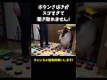 ボタンさばきがスゴすぎて聞き取れません！【会話ボタンでしゃべる犬】 #shorts #犬