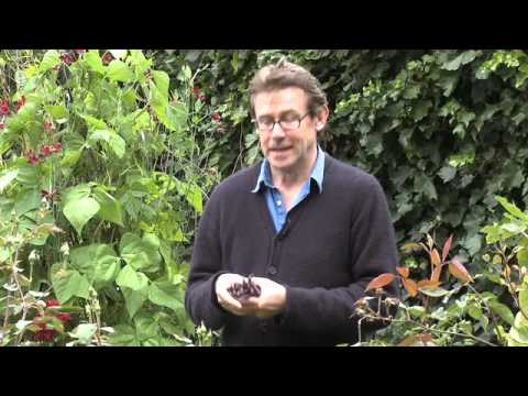 Nigel Slater - Tender 2 - Beans