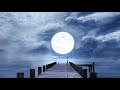 満月の夜に 深い眠りを誘う癒しの音