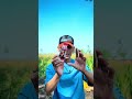 Nektar nexpro pakan burung kolibri