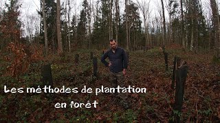 Les méthodes de plantation forestière