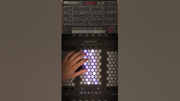 Exquis - @uheplugins Repro-1 "Wonders Arp" #plugin #vst #mpe #delay #midi #controller #keyboard