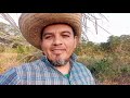Cap. 01 Tajibo en Transición - Agricultura Sintrópica Bolivia