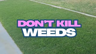 Have A Weed-Free Lawn WITHOUT Killing Weeds