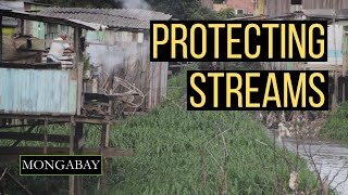 Brazilian resident fights to save Manaus' small streams from pollution