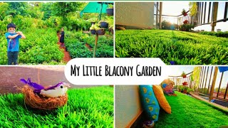 Balcony Extreme Makeover L Balcony Garden Makeover L My Little Balcony Garden Hubbali Karnataka