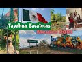 TAYAHUA, ZAC | Mexico 2021