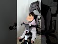 気配を消して覗いていた猫