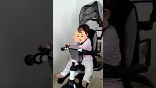 気配を消して覗いていた猫