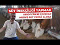 30 LİTRE SÜT VEREN SİMENTAL İNEKLER | BESLEME RASYON VE YEM YAPIMI #hayvancılık #büyükbaş #köyhayatı