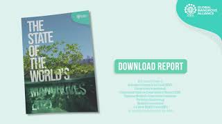 Information The State of the World's Mangroves | Global Mangrove Alliance Guide