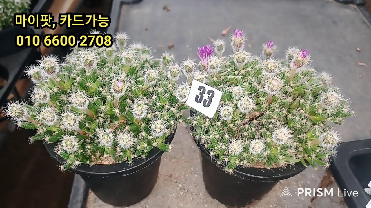 2월23일 2부  비가오네요 굿모닝  ~~~~~