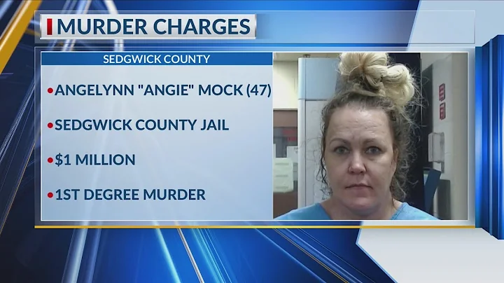 Former TV news anchor accused of stabbing and killing mother