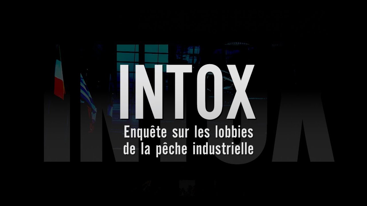 INTOX Enquête sur les lobbies de la pêche industrielle