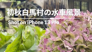 【4K】初秋の白馬村_水車風景_ (Shot on iPhone 13 Pro)