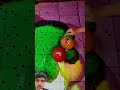 Amazing balloon pop satisfying #balloon#poppballons #ball #poppballons #balloon