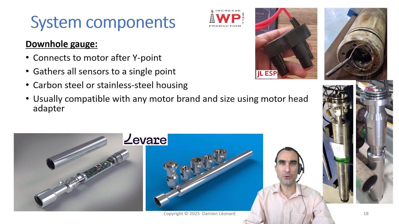 Electrical Submersible Pump Gauge