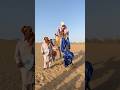 شاهد كيف تم إحياء طقوس زفاف قديمة على إيقاع طبلة الجمل