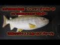 Fly-fishing 第2回　フィッシングアプローチ Fly Fisher's Craft 寺尾 伸一