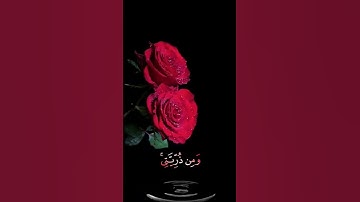 صباح الخير🌹حالات واتساب مقاطع قصيره قران كريم🌹رب اجعلني مقيم الصلاة ومن ذريتي🌹احمد النفيس بدون حقوق