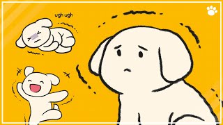 6 Reasons Why Your Dog Is Shaking Or Shivering Resimi