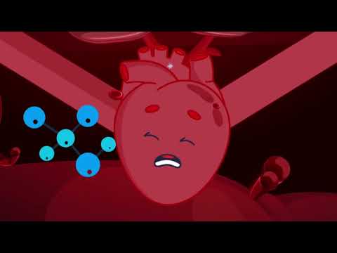 Medical Animated Explainer | Santa Claus Analogy