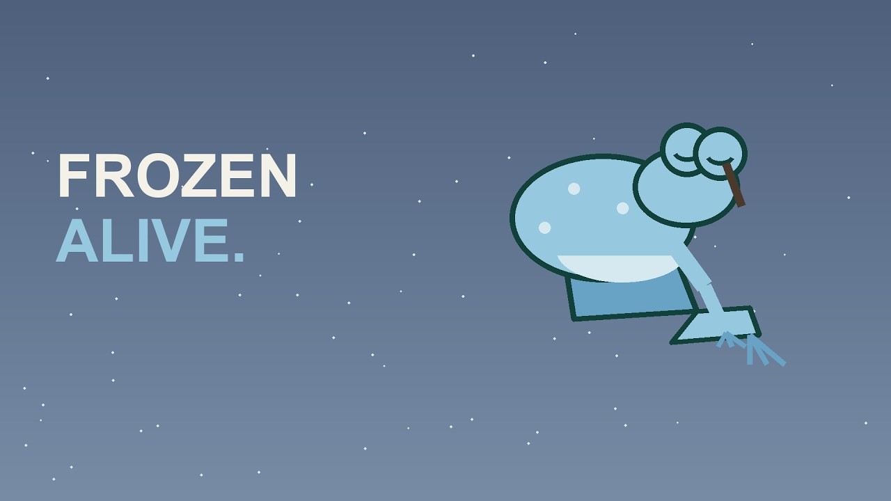 The Frog That Freezes Solid Every Winter