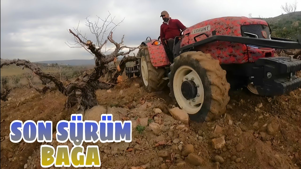 BAĞIN SÜRÜMÜ HARİKA OLDU... ZEMHERİ SÜRÜMLERİNİ BİTİRDİM...