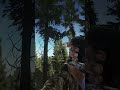 Snipers are like crocodiles #escapefromtarkov #eft  #tarkov  #gaming #clips #shorts