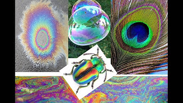 9.3 Interference Video TNOTES