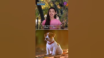 "Exploring Photoreceptors: Can Dogs Truly See Colors?" | BYJU