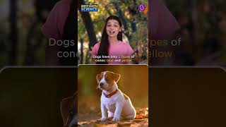 Exploring Photoreceptors: Can Dogs Truly See Colors | BYJUS Mistaken Science shorts dogs