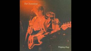 The Chameleons - Tripping Dogs (Full LP)