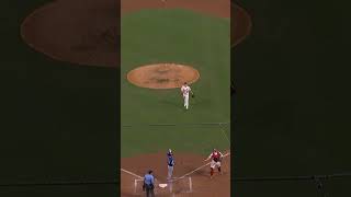 MLB Umpire Makes a Gold Glove Catch!