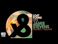 Jamie Stevens - Vigilant